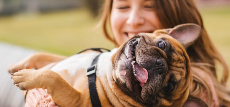 Já sabe como agradar o seu cãozinho?