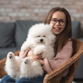 O que é e como funciona o serviço pet friendly?