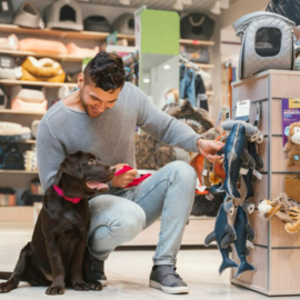 O Papel Essencial do Auxiliar de Veterinário no Universo dos Pet Shops