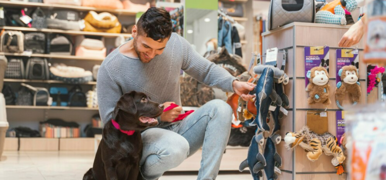 O Papel Essencial do Auxiliar de Veterinário no Universo dos Pet Shops